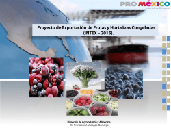 Ver presentación - ProMéxico Global