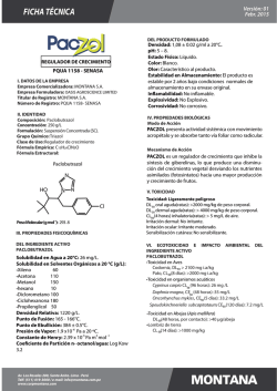 ficha t&eacute;cnica