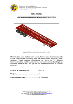 FICHA T&Eacute;CNICA PLATAFORMA