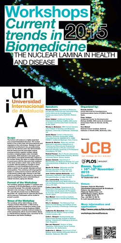 Poster - Universidad Internacional de Andalucía