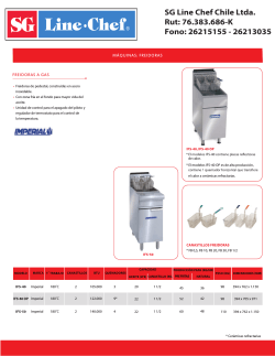 Ficha Técnica de Freidora Eléctrica EF-101B