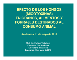 z micotoxinas avellaneda 2015 -productores