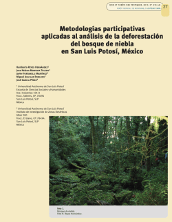 Metodologías participativas aplicadas al análisis de la deforestación