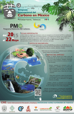 VI Simposio Internacional del Carbono en México Villahermosa