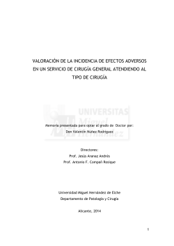 Valentín Núñez Rodríguez - Universidad Miguel Hernández de