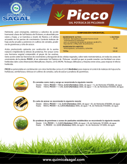 Ficha T&eacute;cnica - Quimica Sagal