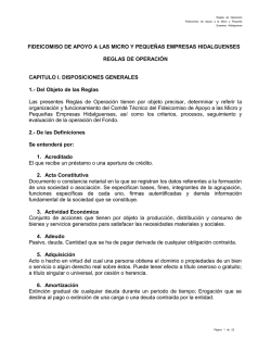 fideicomiso de apoyo a las micro y peque&ntilde;as empresas hidalguenses