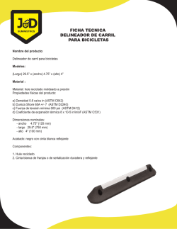 ficha tecnica delineador de carril para bicicletas