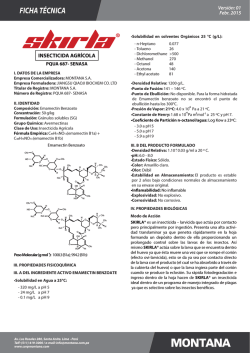 ficha t&eacute;cnica