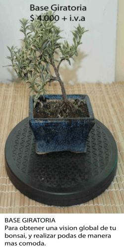 BASE GIRATORIA Para obtener una vision global de tu bonsai, y
