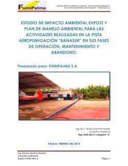 borrador eia expost de pista banasur