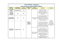 Grupo SOCIUS - Categor&iacute;a C L&iacute;der Doctorante OSIRIS GARC&Iacute;A