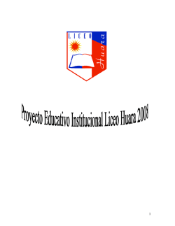 PEI 2008 - Liceo Huara