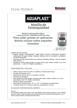 Ficha T&eacute;cnica Masilla de Estanqueidad