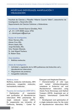 moleculas-individuales-manipulacion-visualizacion