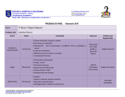 PRUEBAS DE NIVEL I Semestre 2015 7&ordm; B&aacute;sico &ldquo;Miguel Magone