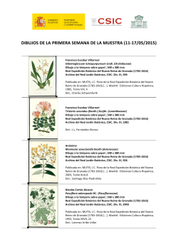 Descargar PDF - Real Jardín Botánico