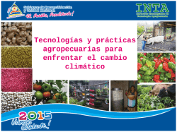 Informe completo en formato
