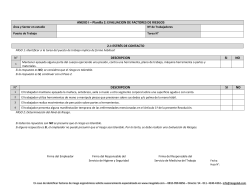 ANEXO I – Planilla 2: EVALUACION DE FACTORES DE RIESGOS 2