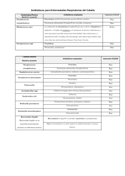 Antibi&oacute;ticos para Enfermedades Respiratorias del Caballo