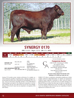 SYNERGY 0170 - Corporron Acres & Dos Bros Ranch!