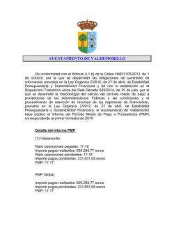 Informe primer trimestre 2015 PMP