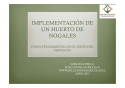 IMPLEMENTACI&Oacute;N DE UN HUERTO DE NOGALES