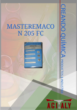 MasterEmaco n 205 fc