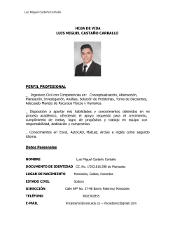HOJA DE VIDA LUIS MIGUEL CASTAÑO CARBALLO