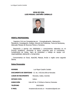 HOJA DE VIDA LUIS MIGUEL CASTA&Ntilde;O CARBALLO