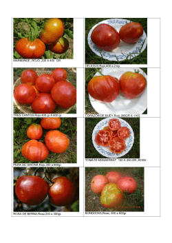 Catalogo de tomates - El Vergel de las Hadas
