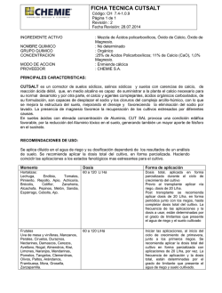 FICHA TECNICA CUTSALT