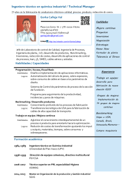 Habilidades / Capacidades Formaci&oacute;n acad&eacute;mica Ingeniero