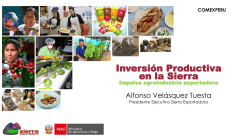 Presentación del Sr. Alfonso Velasquez (AGROEXPORTACIÓN)