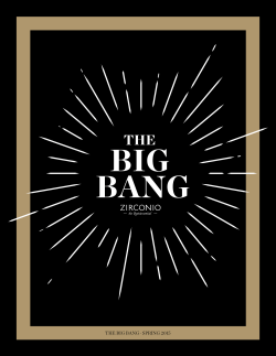 the big bang · spring 2015 the big bang · spring 20 15 zir conio