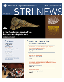 May 15, 2015 - Smithsonian Tropical Research Institute