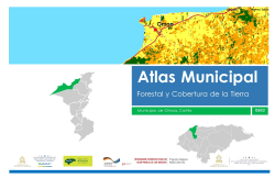 0503 Omoa Atlas Forestal Municipal - Programa REDD/CCAD-GIZ