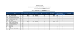 INFORME DE AVANCE