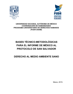 Bases técnico-metodológicas para el informe de - PUDH