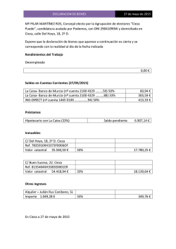 Declaración Bienes De Pilar M.