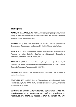 (Afife) : um ensaio de aplicação do sistema lógico