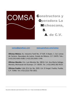 Constructora y Operadora La Michoacana, S. A. de C.V.