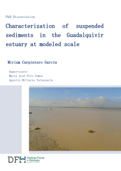 characterization of suspended sediments in the guadalquivir estuary