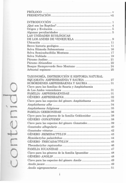 contenido