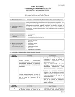 Perfil Profesional PYMES