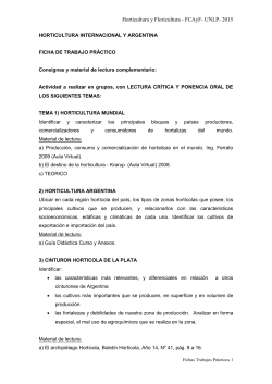 Ficha Horticultura Argentina y Mundial 2015 24-2-15