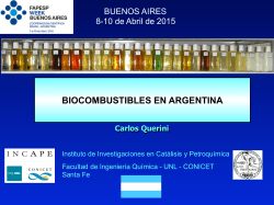 BIOCOMBUSTIBLES EN ARGENTINA