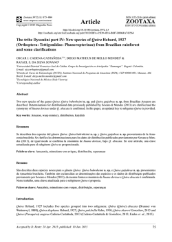 The tribe Dysoniini part IV: New species of Quiva