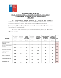 INFORME PUNTAJES DEFINITIVOS PRIMER CONCURSO