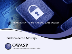 OWASP Presentation Template